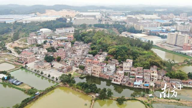 1.以“伞”为笔绘就旺龙村致富新图景.jpg